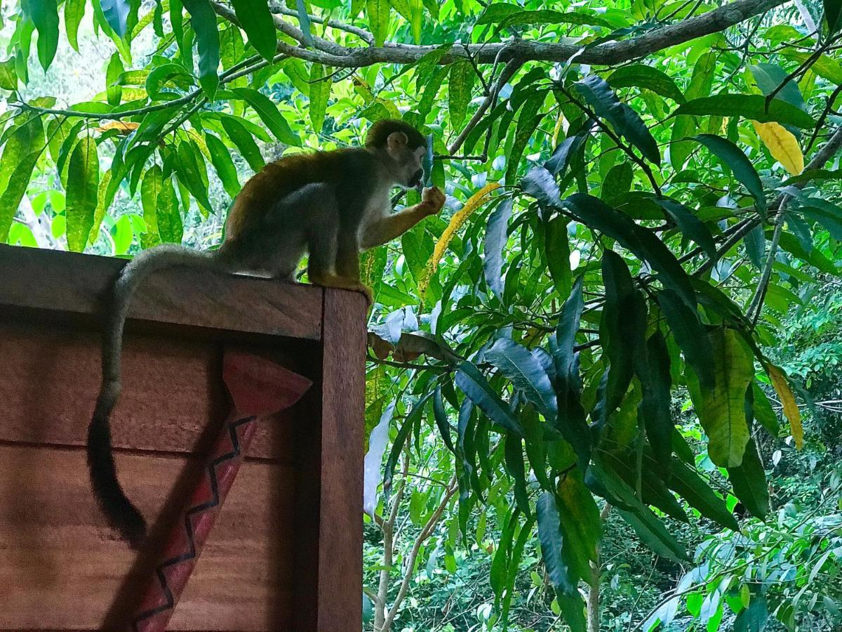Casa Da Arvore, Sonho Na Amazonia, 2Min A Pe Da Praia Alter do Chão Exterior foto